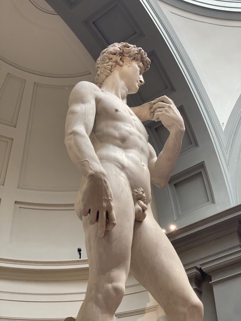 DAVID DE MIGUEL ANGEL EN LA GALLERIA DELLA ACADEMIA DE FLORENCIA