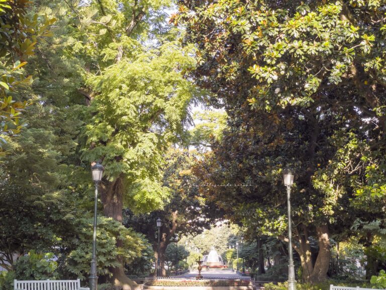 ENTRADA AL PARQUE DE LA ALAMEDA DE VIGO