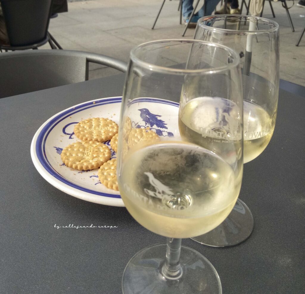 CATA DE VINO EN OPORTO