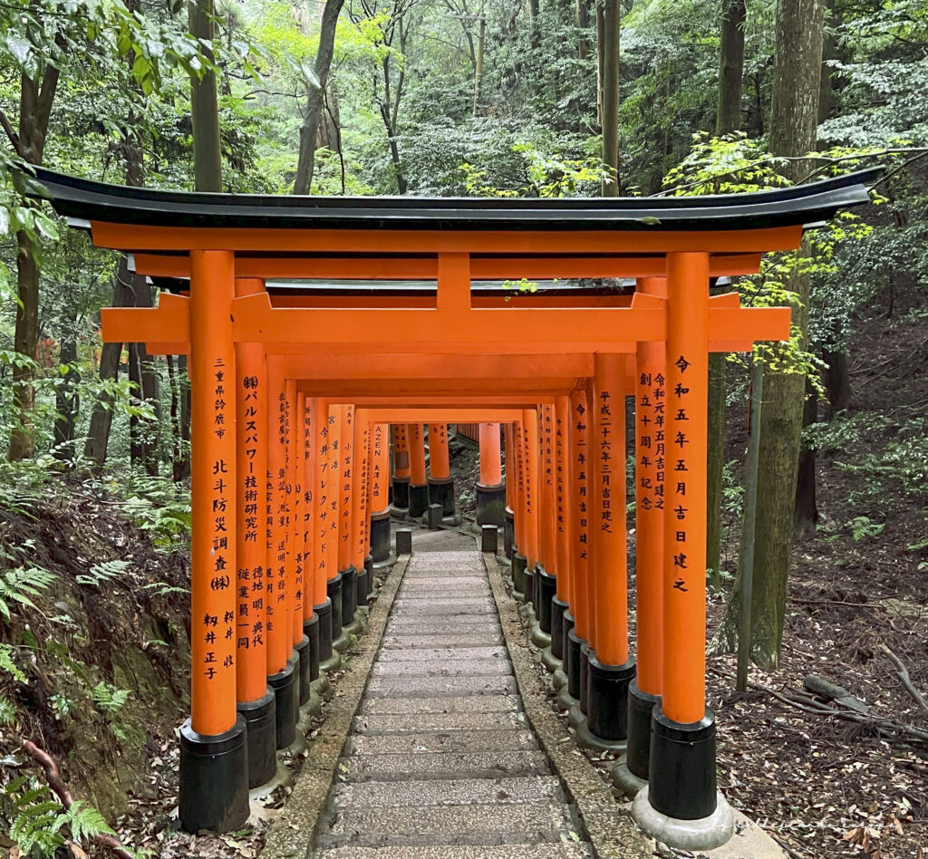 GRUPO DE TORIIS EN FUSHIMI INARI