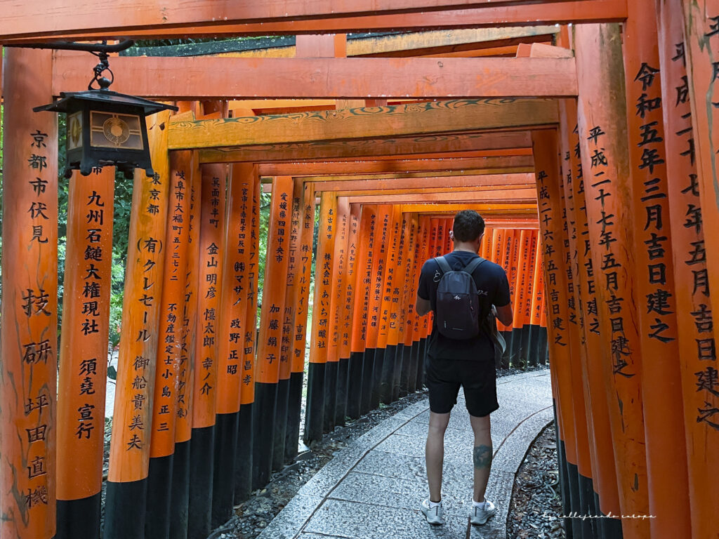 IMAGEN TÍPICA DE LOS TORIIS DE FUSHIMI INARI