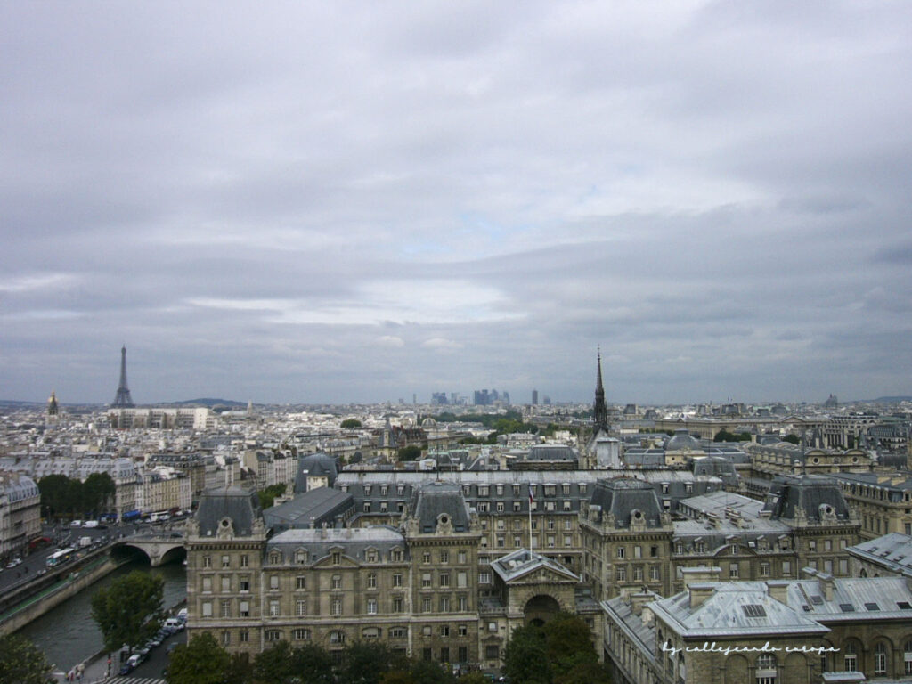 VISTA PANORÁMICA DE PARIS DESDE LA CATEDRAL DE NOTRE DAME DE PARIS FRANCIA, un imprescindible que ver en París