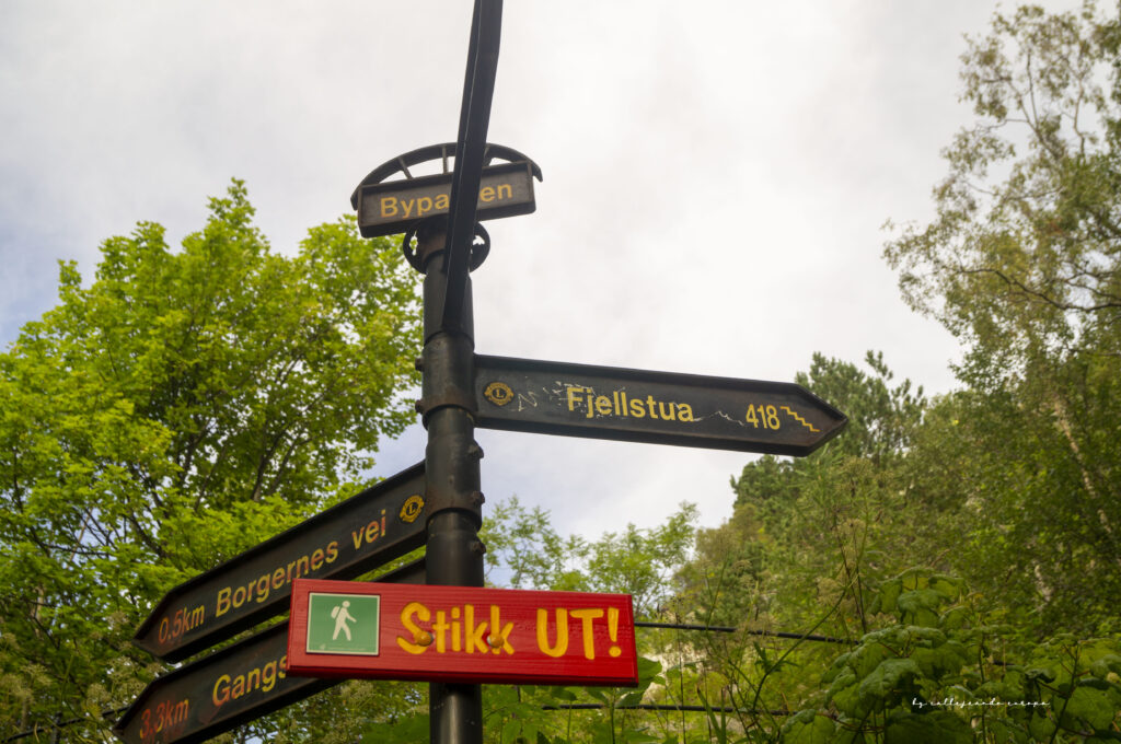 SEÑAL QUE INDICA LA SUBIDA Y NÚMERO DE ESCALONES AL MIRADOR DE FJELLSTUA