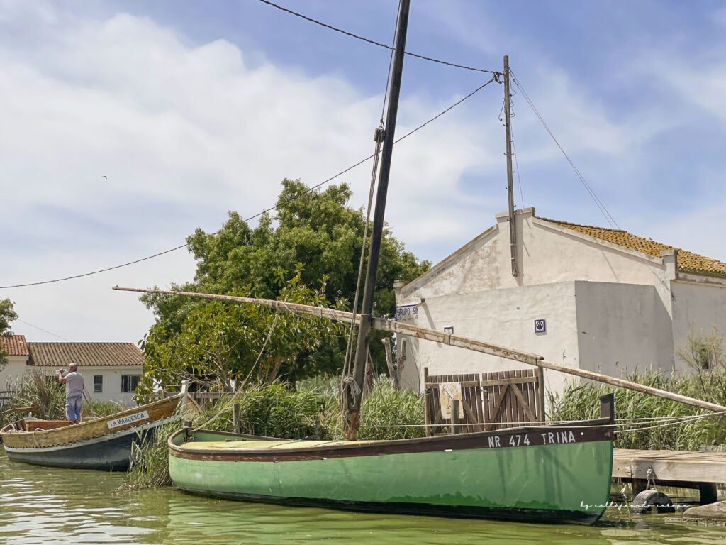 Paseo en barca al atardecer por la Albufera de Valencia, parque natural y cuna de la paella