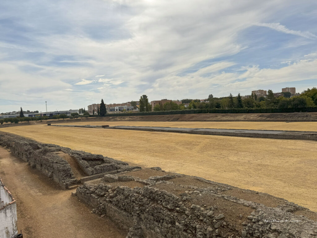 Carreras de cuadrigas en el Circo Romano de Mérida