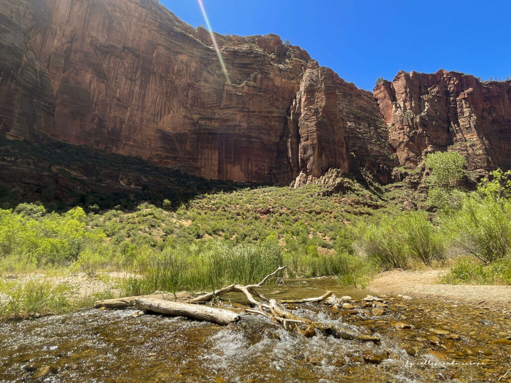 The Grotto en Zion National Park, inicio del sendero hacia Angels Landing