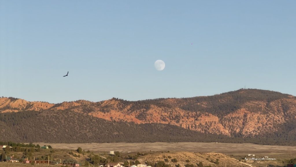 Luna llena y un águila volando sobre las montañas vistas desde Panguitch