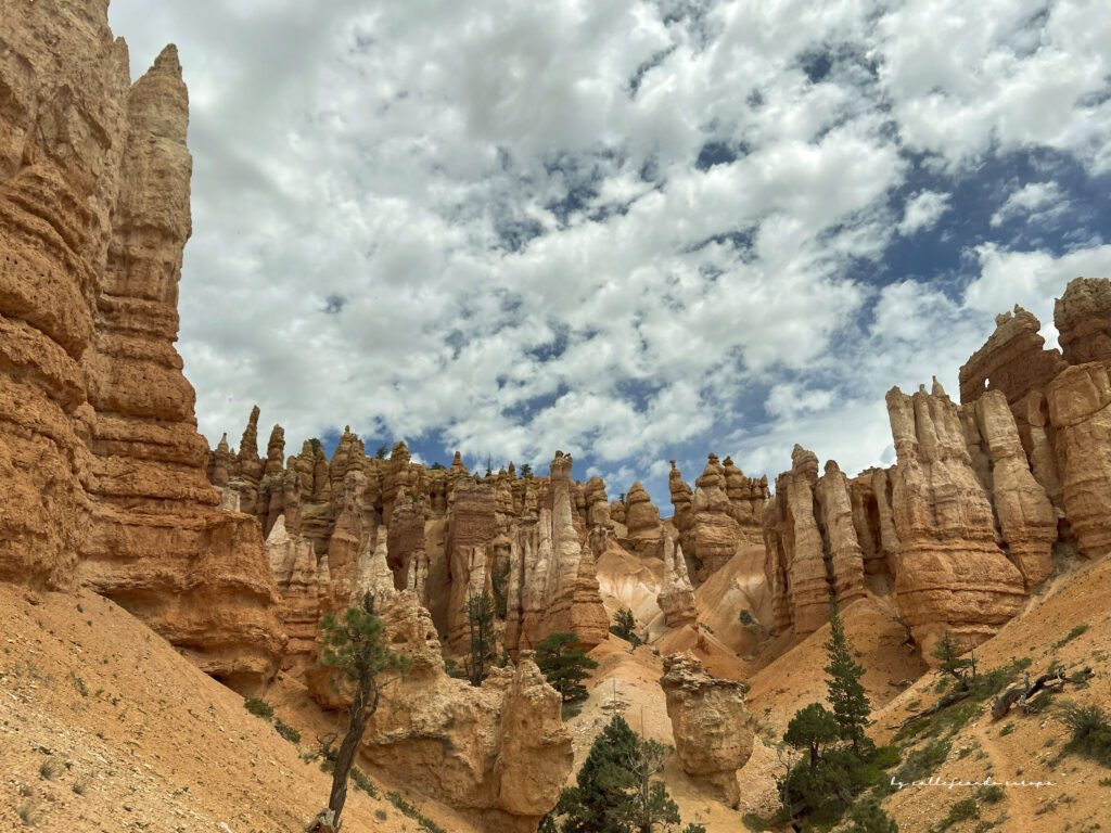 Formaciones rocosas hoodoos iluminadas por el sol en Bryce Canyon