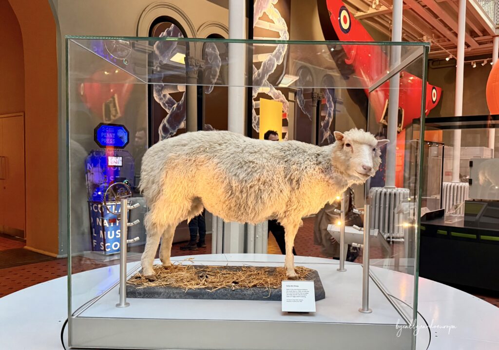 la oveja Dolly, el primer mamífero clonado, exhibido dentro de una vitrina de cristal giratoria en el Museo Nacional de Escocia.