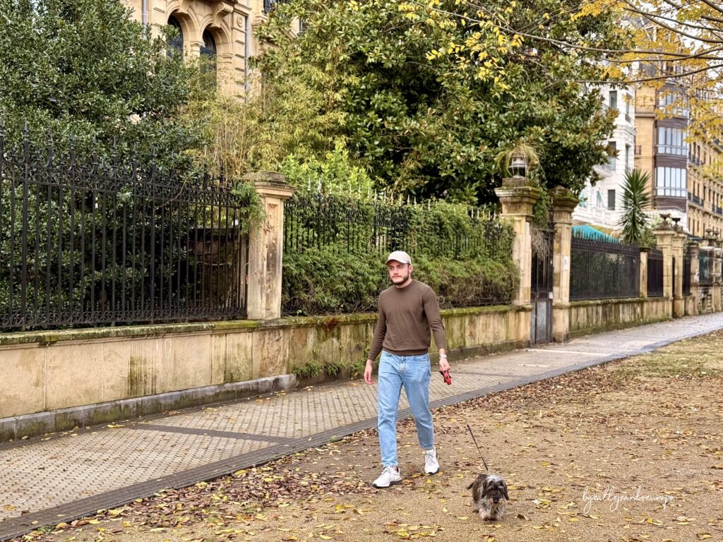 Perro Teckel paseando por una zona verde de San Sebastian
