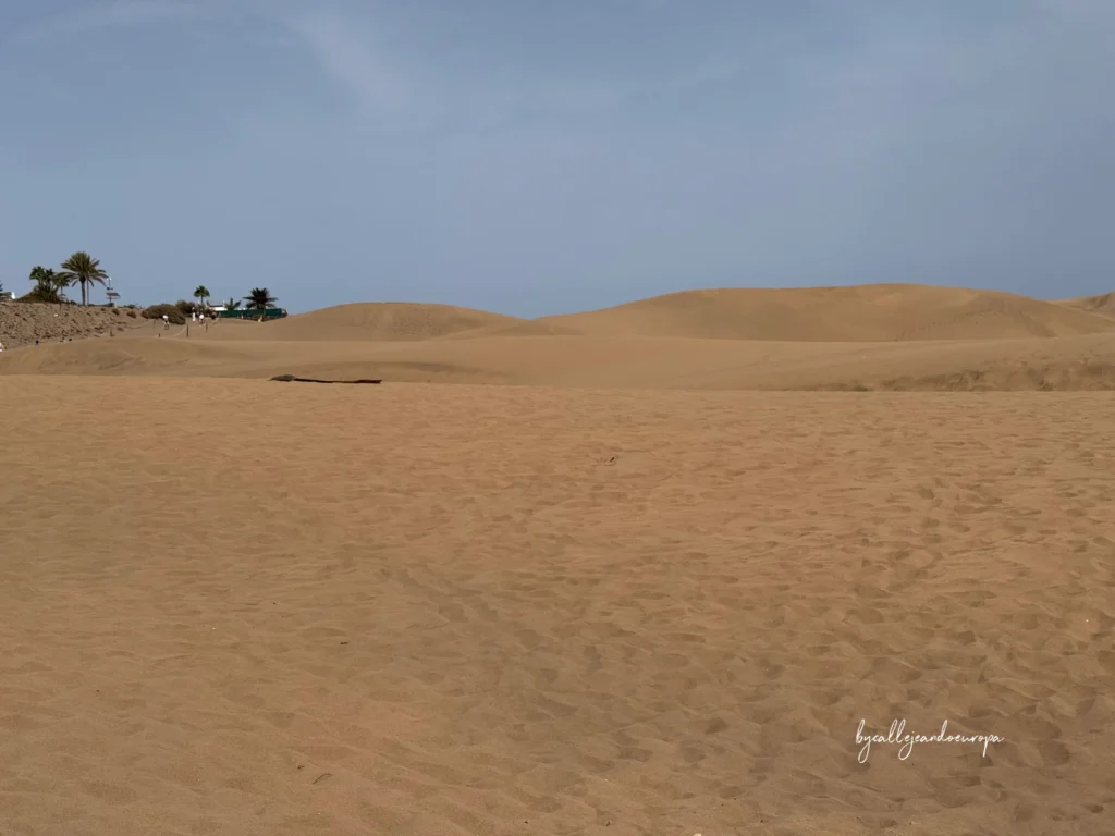 Dunas de Maspalomas, Reserva Natural Especial en el sur de Gran Canaria